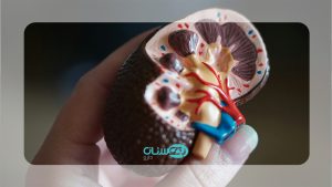 غدد فوق کلیوی و کاربرد آن