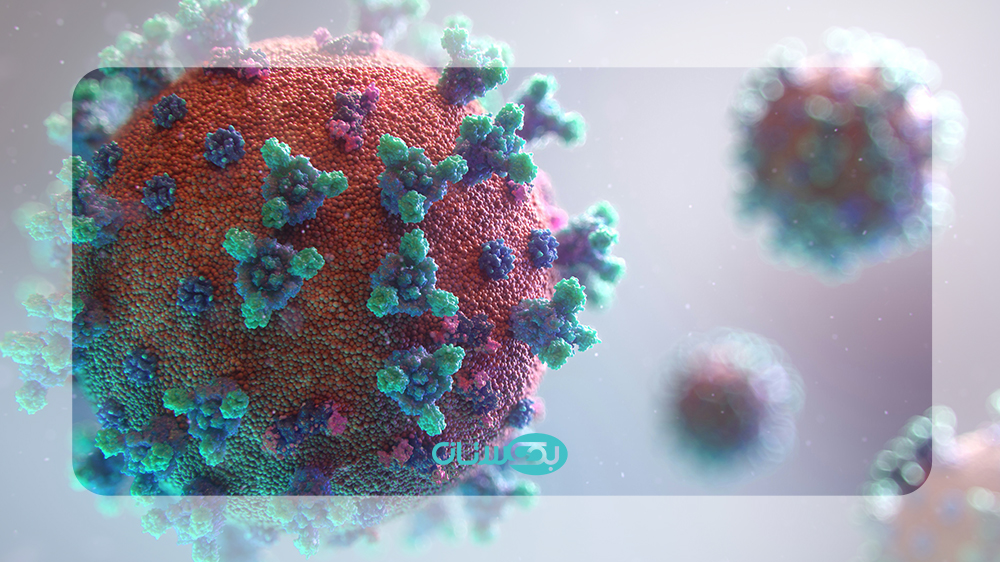 ژنوتیپ های ویروس hpv